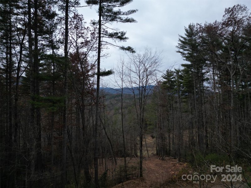 Property image 4 at Lot 12 Wildlife Drive, Clyde, NC 28721