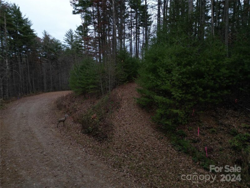 Property image 5 at Lot 12 Wildlife Drive, Clyde, NC 28721