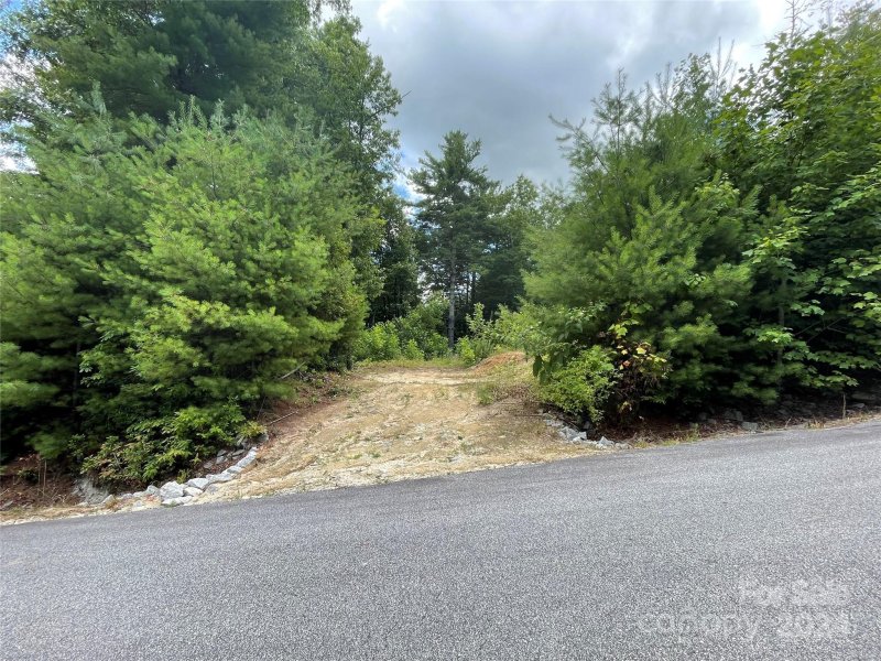 Property image 5 of 00 Willow Run Lane in Hickory Run, Zirconia, NC 28790