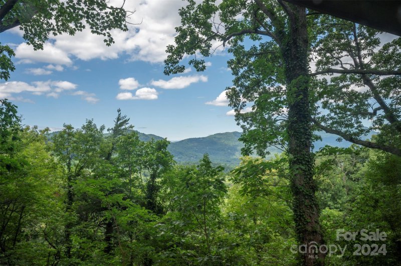 Property image 3 at 187 Dug Hill Trail, Tryon, NC 28782
