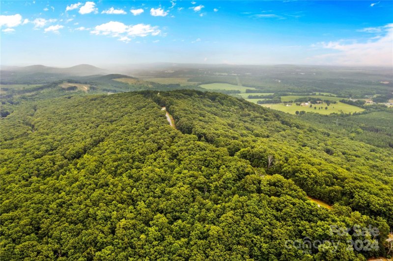 Property image 5 at 2261 Sierra Trace Road, Denton, NC 27239