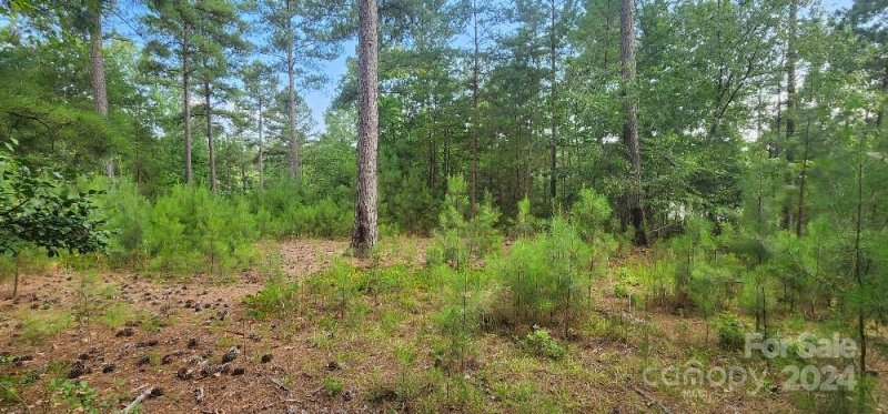 Property image 3 at Lot 162 Scenic Lane, Granite Falls, NC 28630