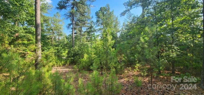 Property image 4 at Lot 162 Scenic Lane, Granite Falls, NC 28630