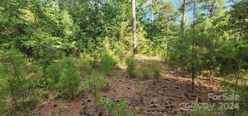 Property image 5 at Lot 162 Scenic Lane, Granite Falls, NC 28630