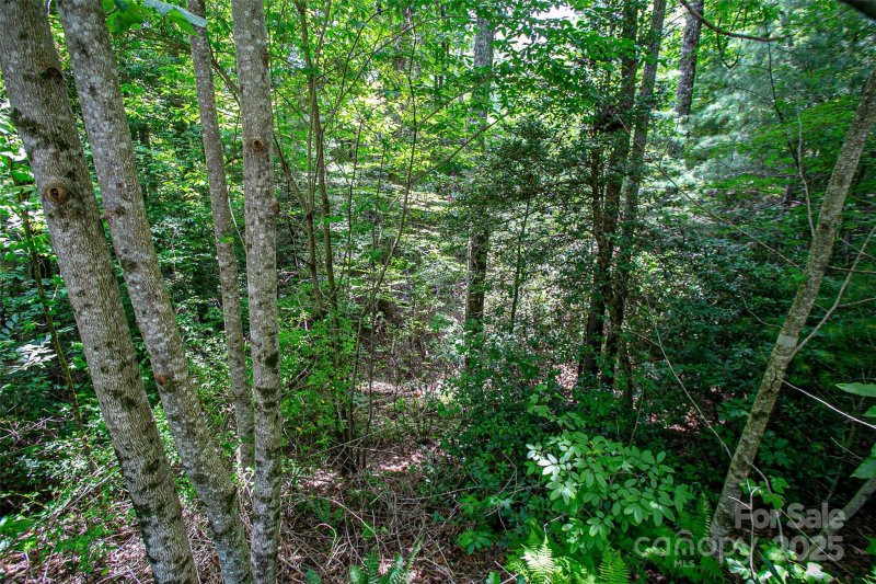 Property image 4 at Tbd Stone Field Trail, Brevard, NC 28712