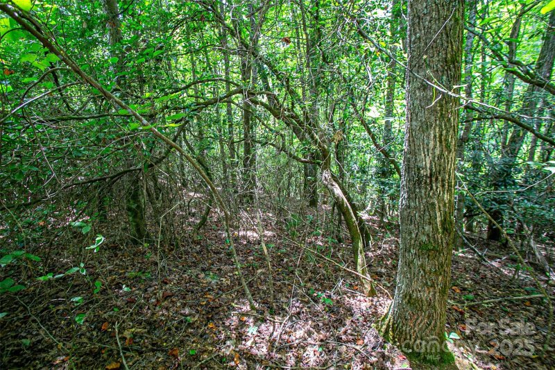 Property image 5 at Tbd Stone Field Trail, Brevard, NC 28712