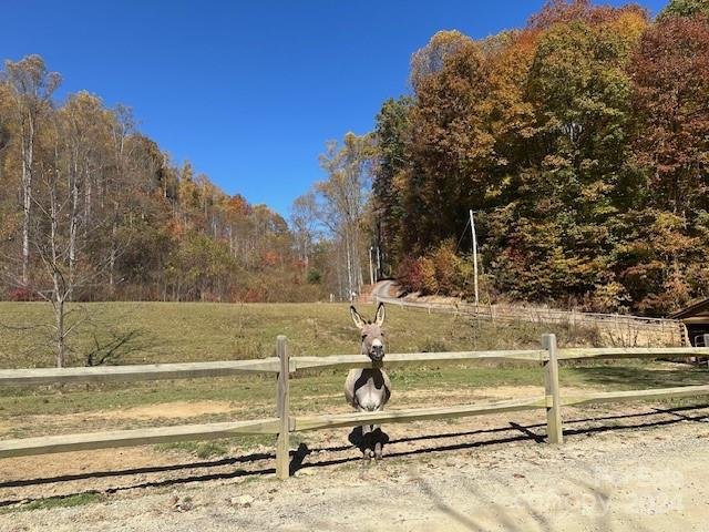 Property image 4 at 9999 Cisco Cove, Waynesville, NC 28785