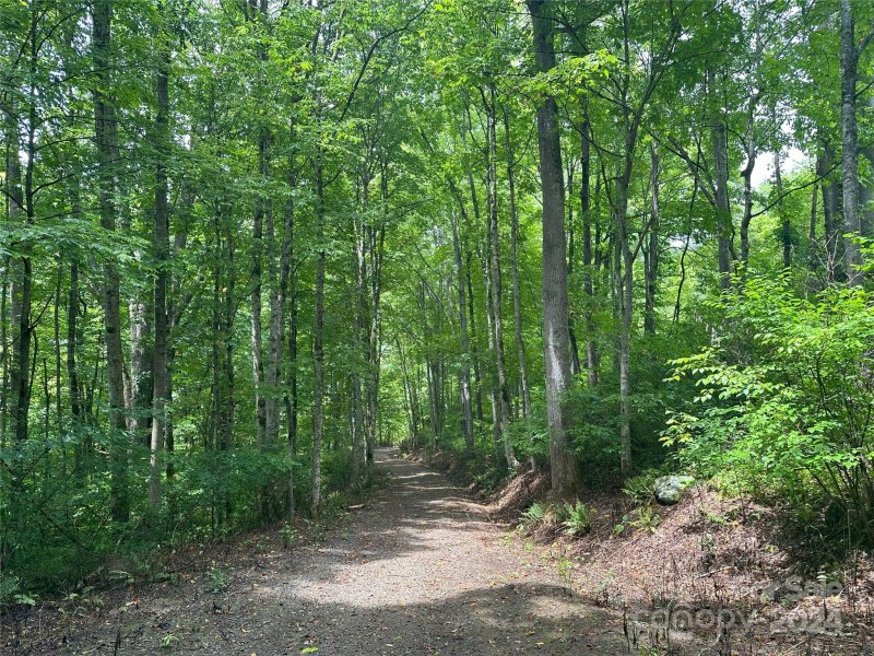 Property image 5 at 9999 Cisco Cove, Waynesville, NC 28785