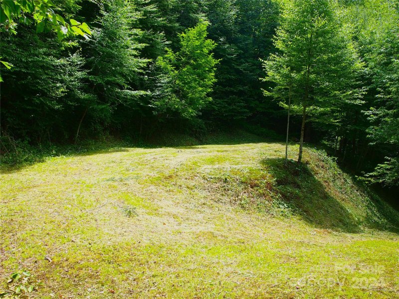 Property image 2 at 00 Spruce Flats Road, Maggie Valley, NC 28751