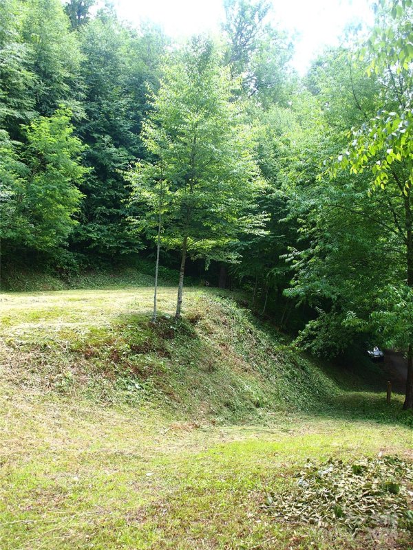 Property image 3 at 00 Spruce Flats Road, Maggie Valley, NC 28751
