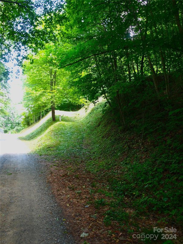 Property image 4 at 00 Spruce Flats Road, Maggie Valley, NC 28751