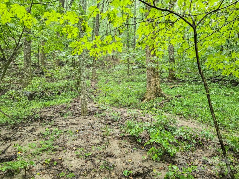 Property image 4 of 22 B Pinnacle Parkway in Pinnacle Ridge, Union Mills, NC 28167