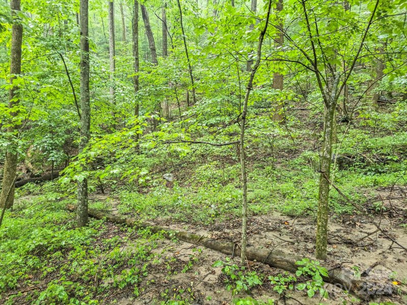 Property image 5 of 22 B Pinnacle Parkway in Pinnacle Ridge, Union Mills, NC 28167