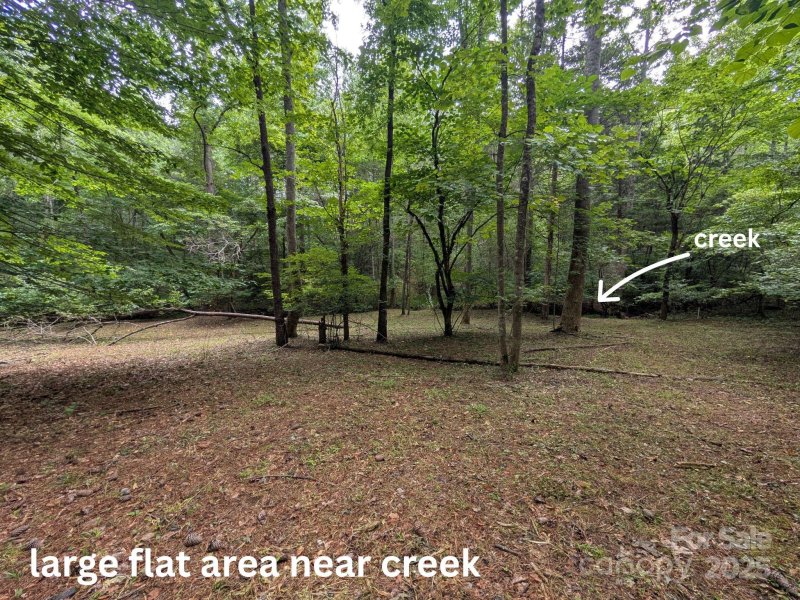 Property image 2 at Lot 119 Creekside Circle, Rutherfordton, NC 28139