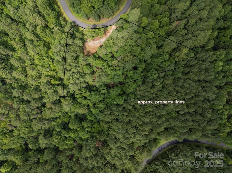 Property image 5 at Lot 119 Creekside Circle, Rutherfordton, NC 28139