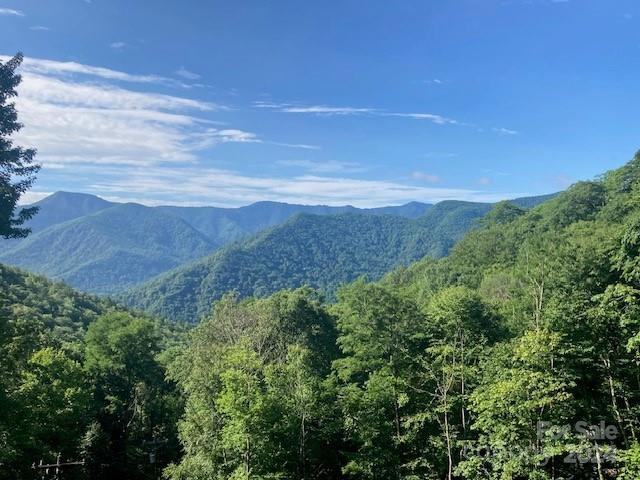 Property image 2 at 1330 Sheepback Mountain Road, Maggie Valley, NC 28751