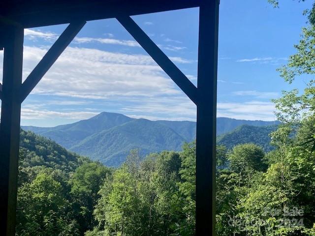 Property image 5 at 1330 Sheepback Mountain Road, Maggie Valley, NC 28751