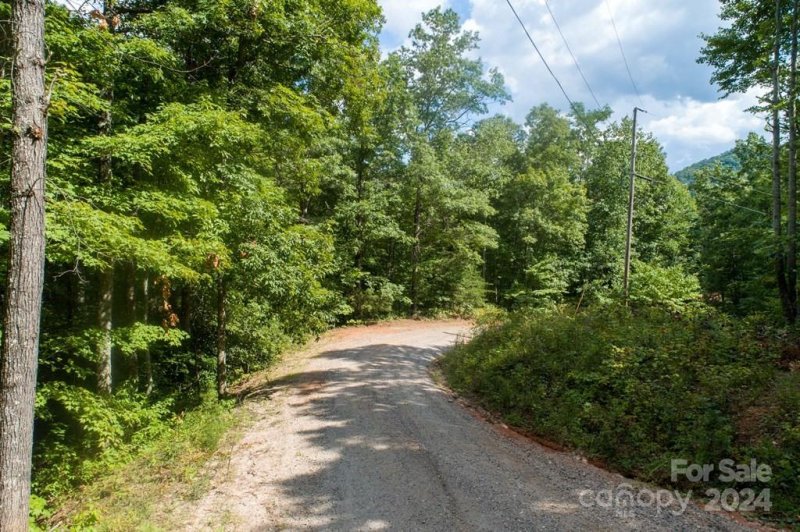 Property image 4 at 000 Platinum Road, Tuckasegee, NC 28783