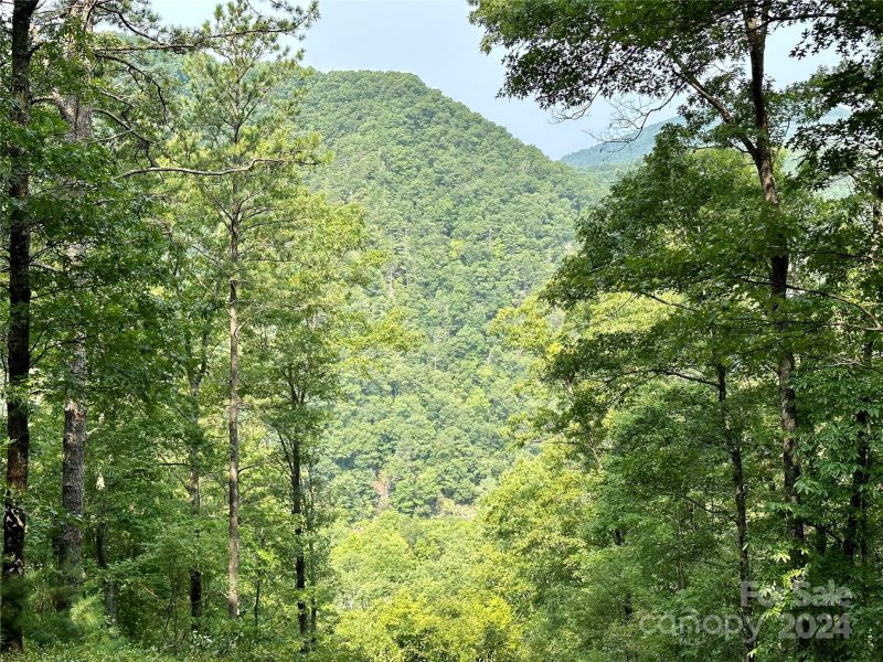 Property image 2 of 151 Wild Turkey Loop in French Broad Crossing, Marshall, NC 28753