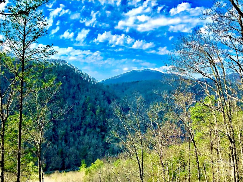 Property image 3 of 151 Wild Turkey Loop in French Broad Crossing, Marshall, NC 28753