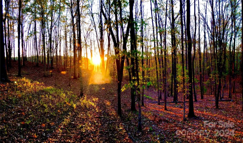 Property image 4 of 151 Wild Turkey Loop in French Broad Crossing, Marshall, NC 28753