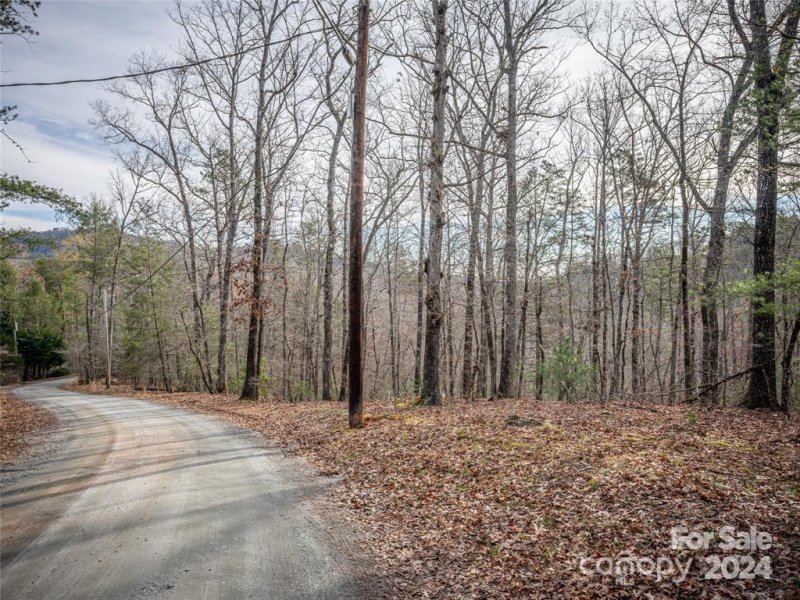 Property image 2 of 163 Pheasant Street in Riverbend at Lake Lure, Lake Lure, NC 28746