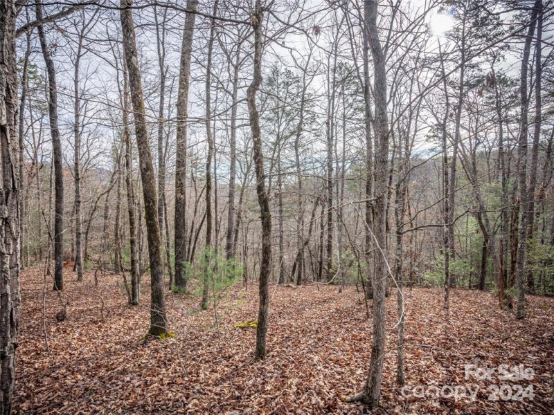 Property image 5 of 163 Pheasant Street in Riverbend at Lake Lure, Lake Lure, NC 28746