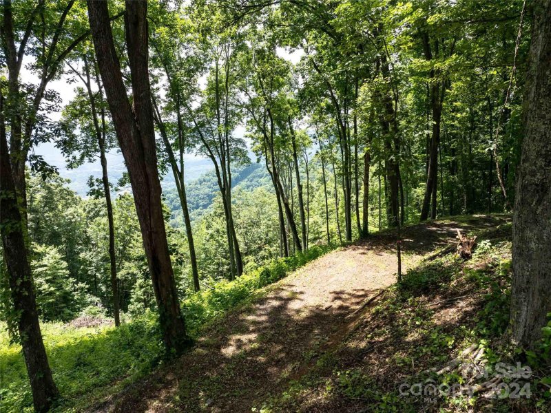 Property image 3 of 54 Sleepy Hollow Drive in Avalon, Waynesville, NC 28785