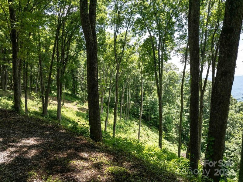 Property image 5 of 54 Sleepy Hollow Drive in Avalon, Waynesville, NC 28785