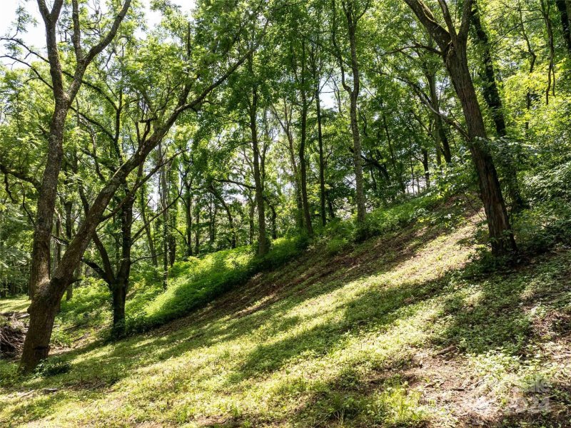 Property image 2 of 00 Hardy Branch Trail in Avalon, Waynesville, NC 28785