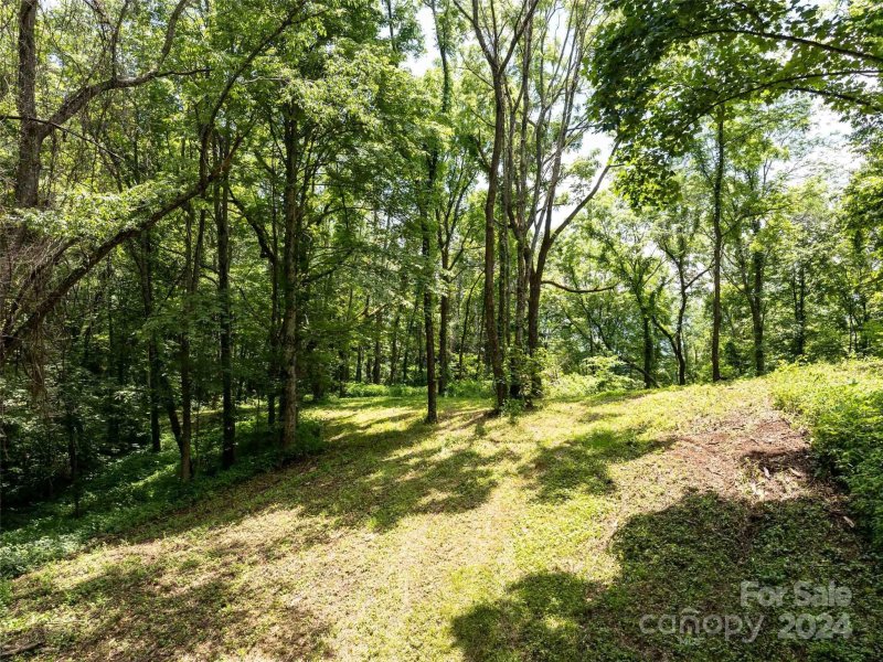 Property image 4 of 00 Hardy Branch Trail in Avalon, Waynesville, NC 28785