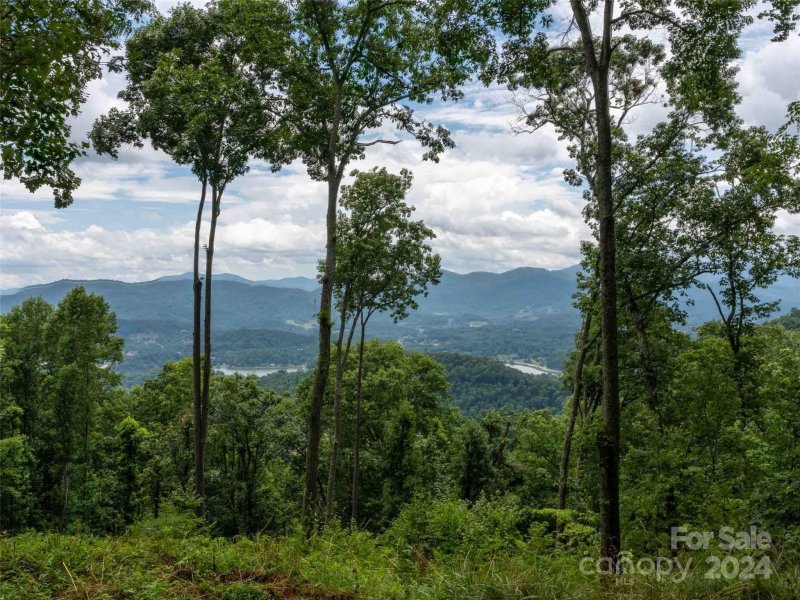 Property image 5 at 002 Sleepy Hollow Drive, Waynesville, NC 28785