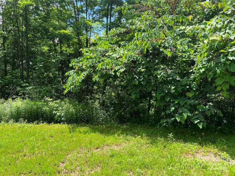 Property image 3 of 0000 Eamon Drive in Great Sky, Union Mills, NC 28167