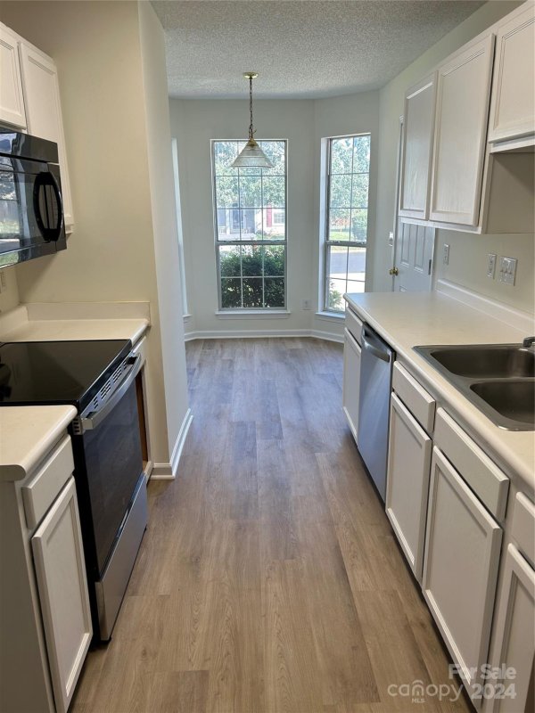 Property image 3 at 258 Indian Paint Brush Drive, Mooresville, NC 28115