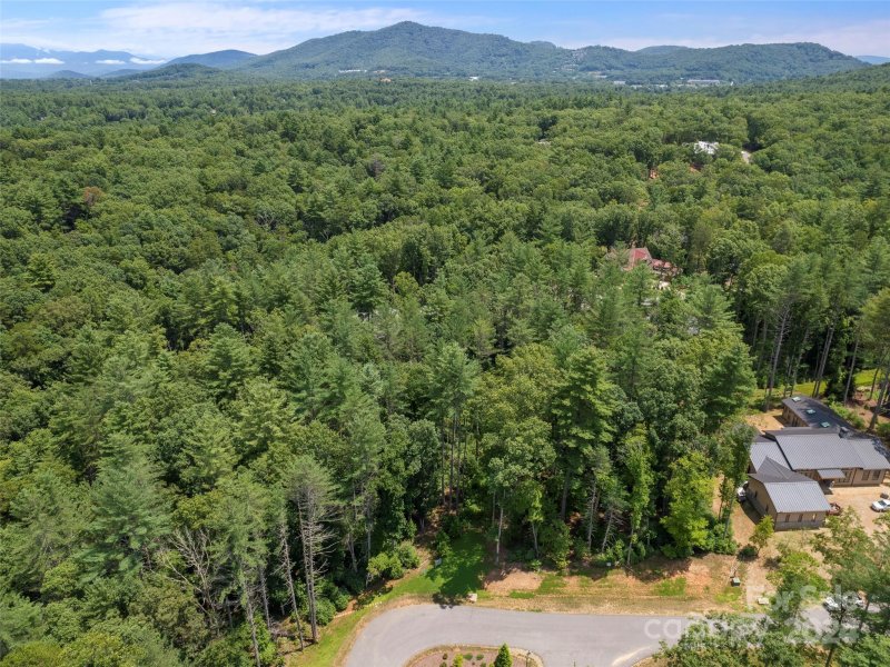 Property image 2 of 323 Flowering Vine Court in Ramble Biltmore Forest, Asheville, NC 28803