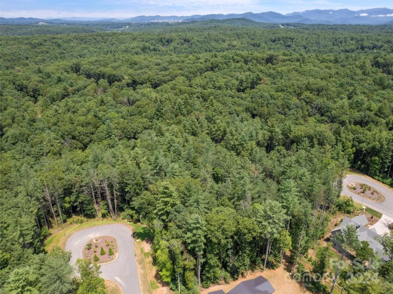 Property image 5 of 323 Flowering Vine Court in Ramble Biltmore Forest, Asheville, NC 28803