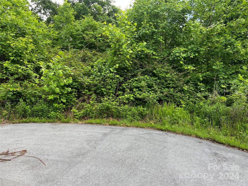 Property image 3 of 0000 Ardal Street in Great Sky, Union Mills, NC 28167