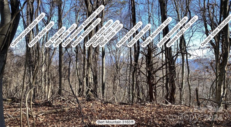 Property image 4 at 78 126 Mountain Magnolia Drive, Leicester, NC 28748