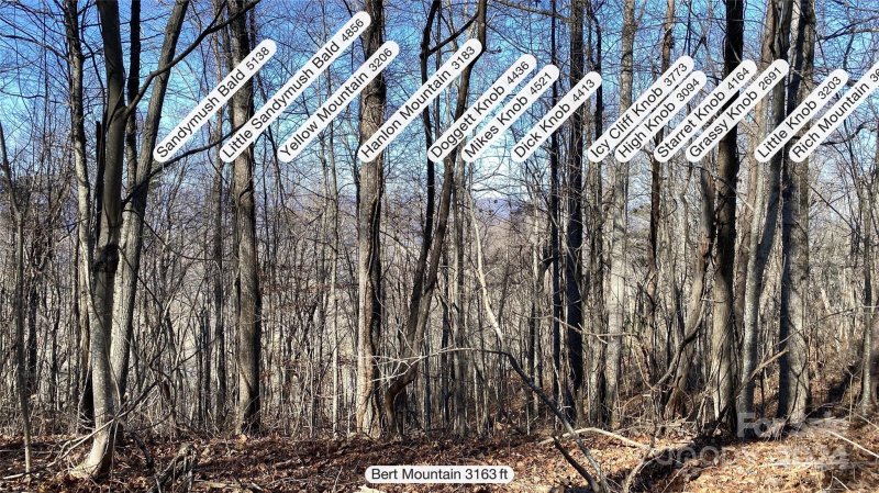 Property image 5 at 78 126 Mountain Magnolia Drive, Leicester, NC 28748