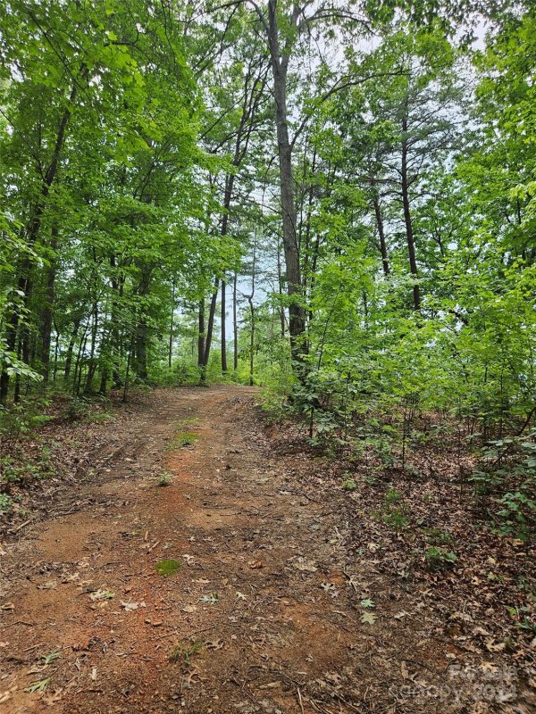 Property image 2 at 0 Deer Jump Trail, Lake Lure, NC 28746