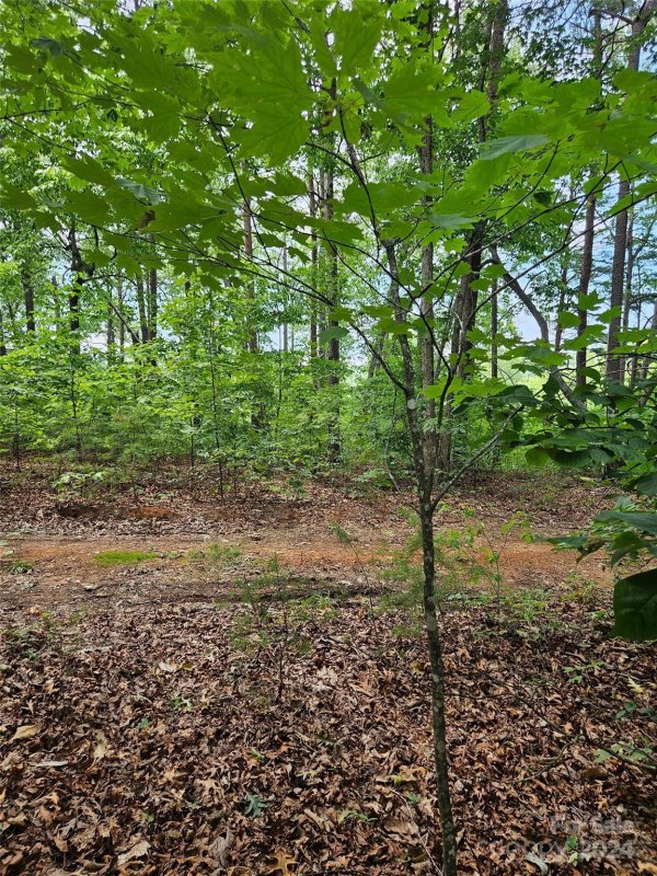 Property image 3 at 0 Deer Jump Trail, Lake Lure, NC 28746