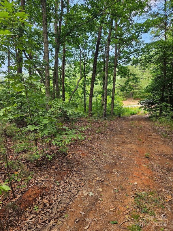 Property image 5 at 0 Deer Jump Trail, Lake Lure, NC 28746