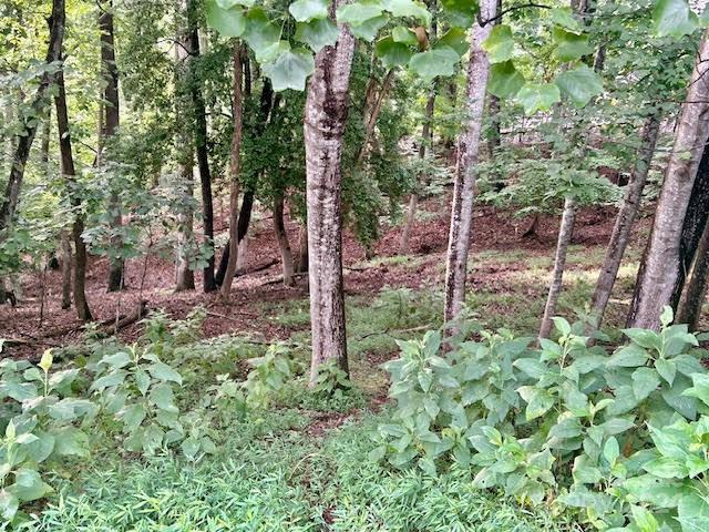 Property image 2 at 216 S Harbor Watch Drive, Statesville, NC 28677