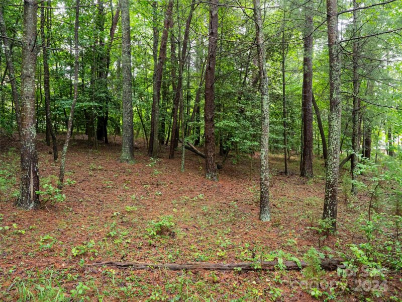 Property image 5 at 62 Ramble Way, Asheville, NC 28803