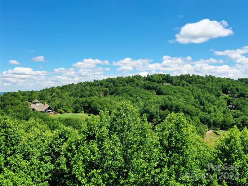 Property image 4 of 211 Bent Pine Trace in Champion Hills, Hendersonville, NC 28739