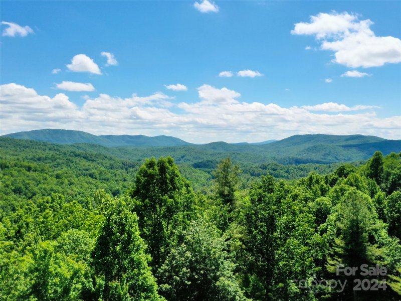 Property image 5 of 211 Bent Pine Trace in Champion Hills, Hendersonville, NC 28739
