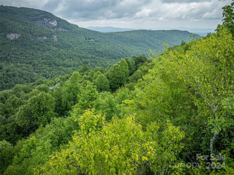 Property image 4 at 000 Meadow Ridge Drive, Lake Toxaway, NC 28747