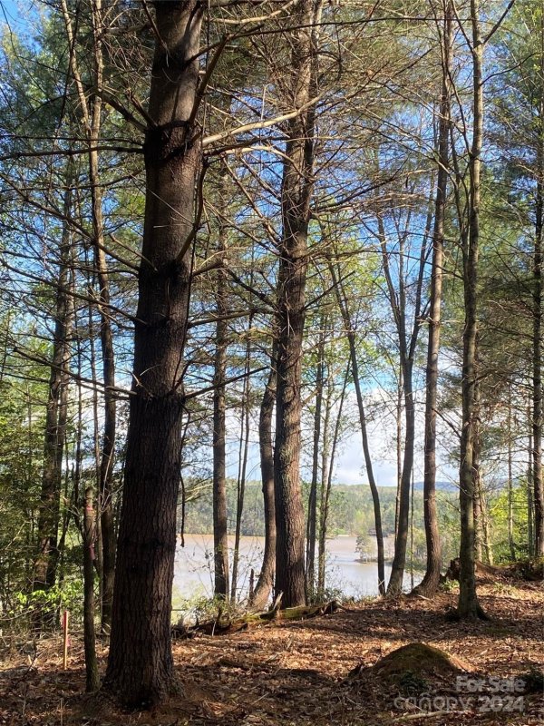 Property image 2 at Tbd Scenic Lane, Granite Falls, NC 28630