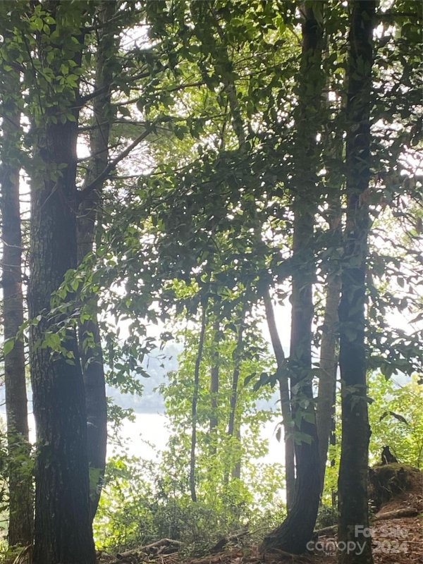 Property image 4 at Tbd Scenic Lane, Granite Falls, NC 28630