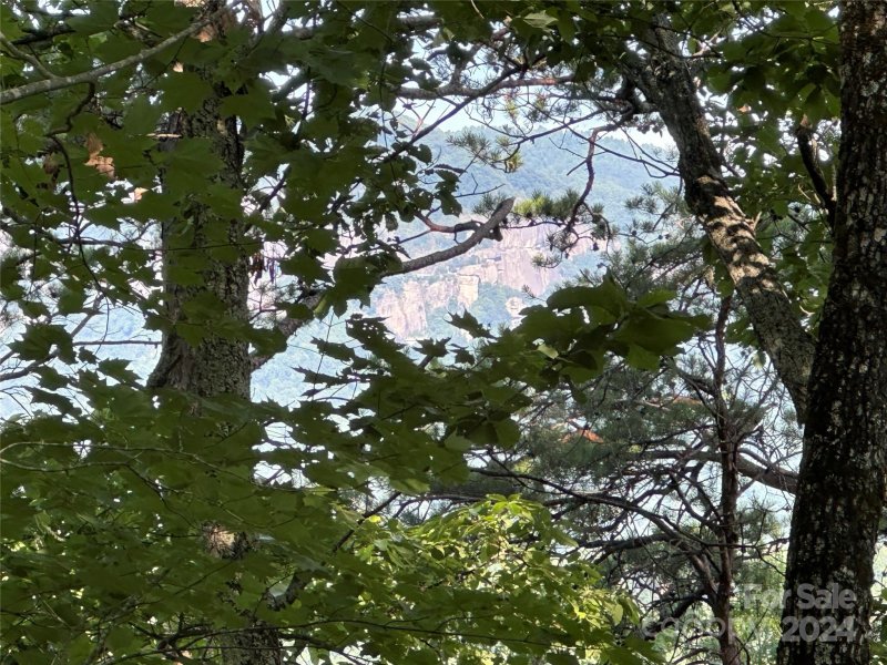 Property image 2 at 0 Buzzards Place, Lake Lure, NC 28746